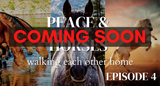 Peace & Horses YouTube Thumbnail ep4 COMING SOON